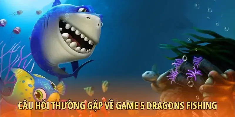 Câu hỏi thường gặp về game 5 dragons fishing