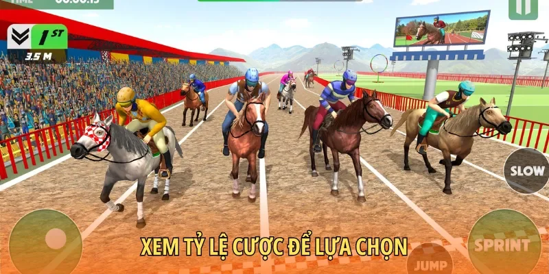 Xem tỷ lệ cược đua ngựa vào từng cửa