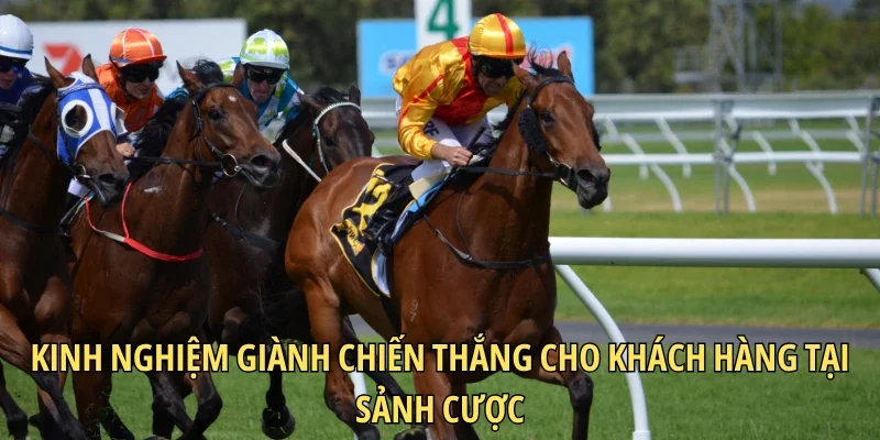 Kinh nghiệm giành chiến thắng cho khách hàng tại sảnh cược