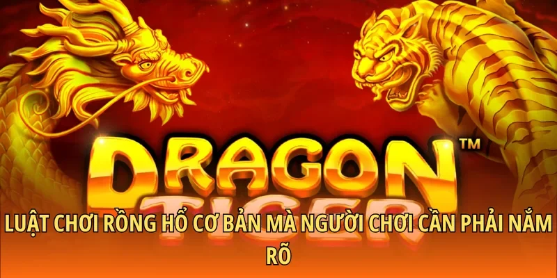 Luật Chơi Rồng Hổ – Thông Tin Cơ Bản Cho Thành Viên