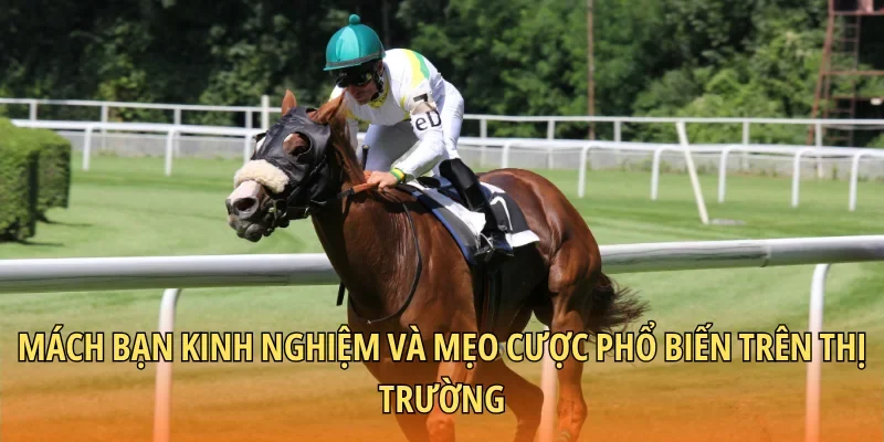 Mách bạn kinh nghiệm và mẹo cược phổ biến trên thị trường