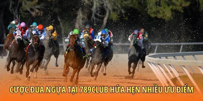 Cược đua ngựa tại 789Club hứa hẹn nhiều ưu điểm